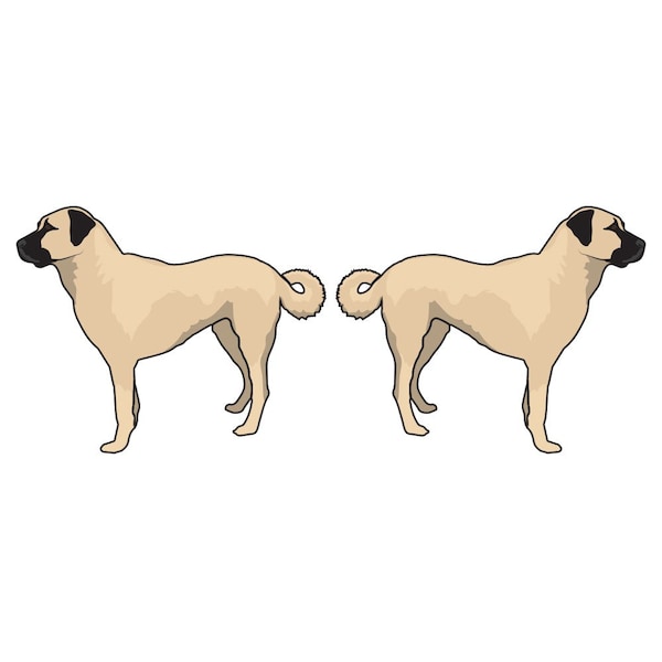 Anatolian Shepherd Dog Decal, Dog Lover Decor Vinyl Sticker